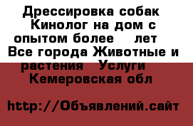 Дрессировка собак (Кинолог на дом с опытом более 10 лет) - Все города Животные и растения » Услуги   . Кемеровская обл.